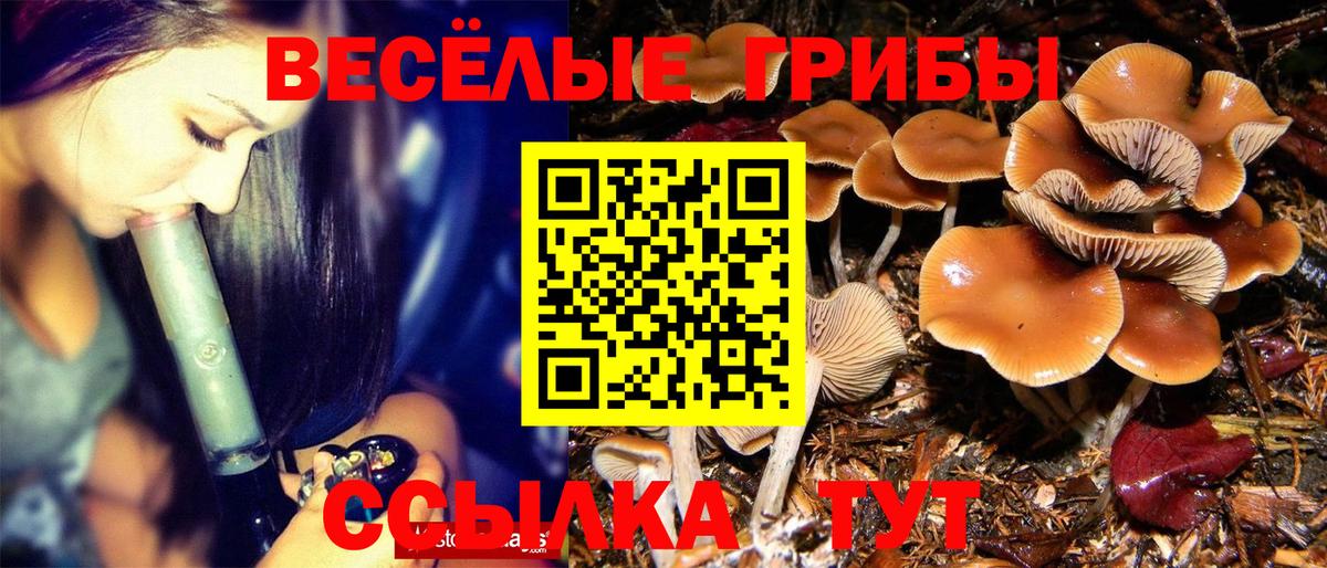 дарнет шоп  Псилоцибиновые грибы прущие грибы  Вход с VPN  Октябрьский 